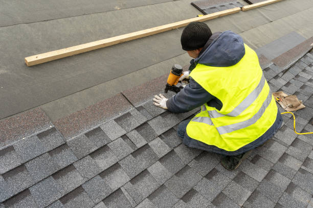 Best Roof Insulation Installation  in San Fernando, CA